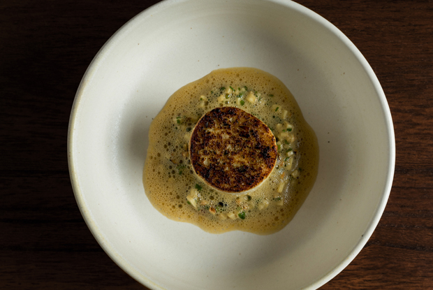 Oteque-LATAM-2018-DISH1